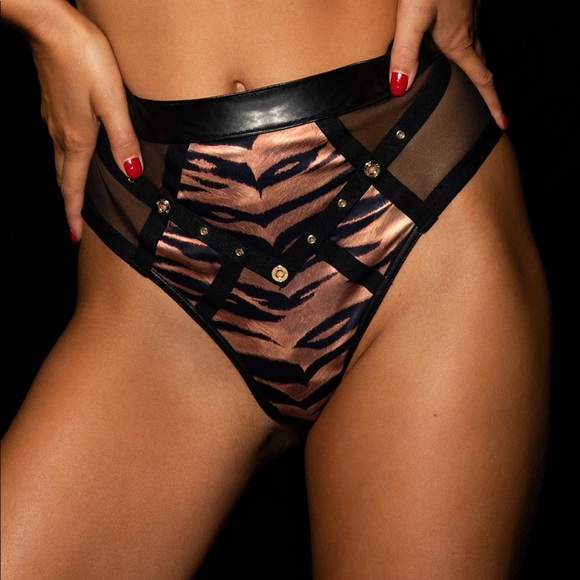 {HONEY BIRDETTE} “Betty” Brief XS - Used - Picture 1 of 5